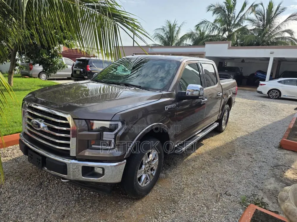 Ford F-150 2016 Brown