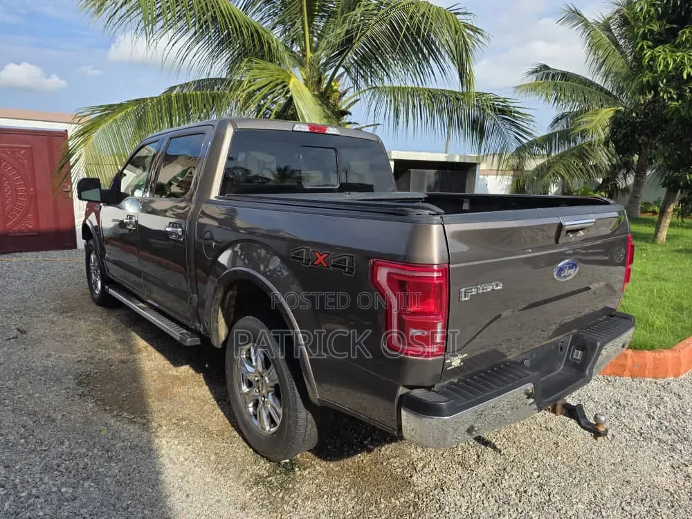 Ford F-150 2016 Brown