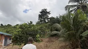 Plot of Land at Eshiem Community