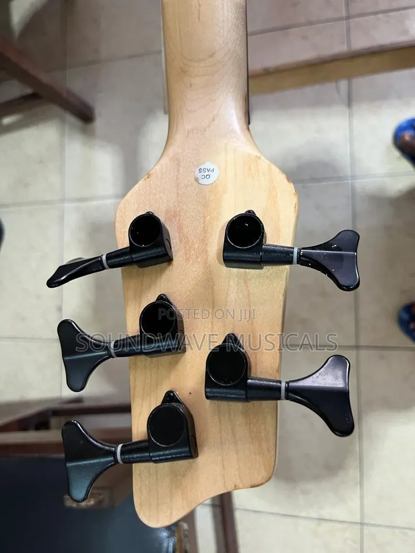 Acl Active 5 String Bass Guitar (Green)
