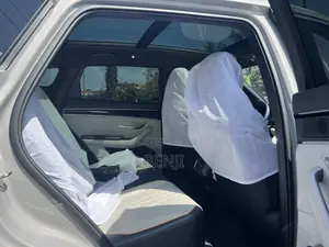 New BYD Song Pro DM-i 2023 Off white