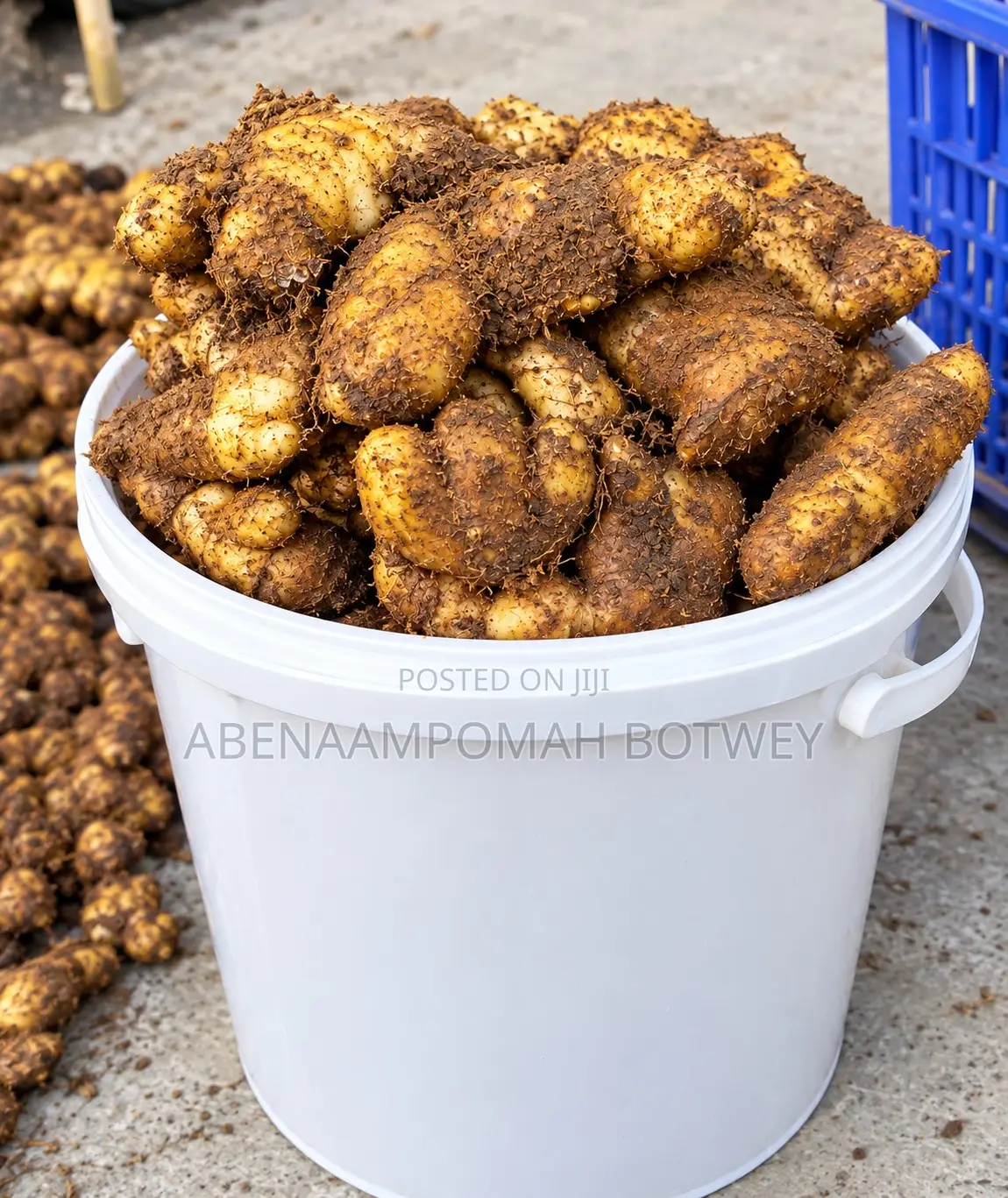 Fresh Ginger Available