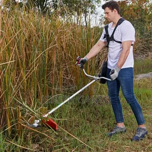 Lawn Slasher