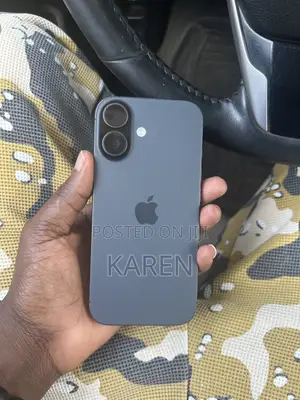 Apple iPhone 17 256 GB Gray