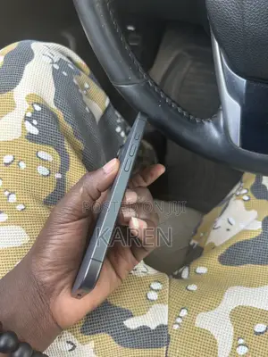 Apple iPhone 17 256 GB Gray