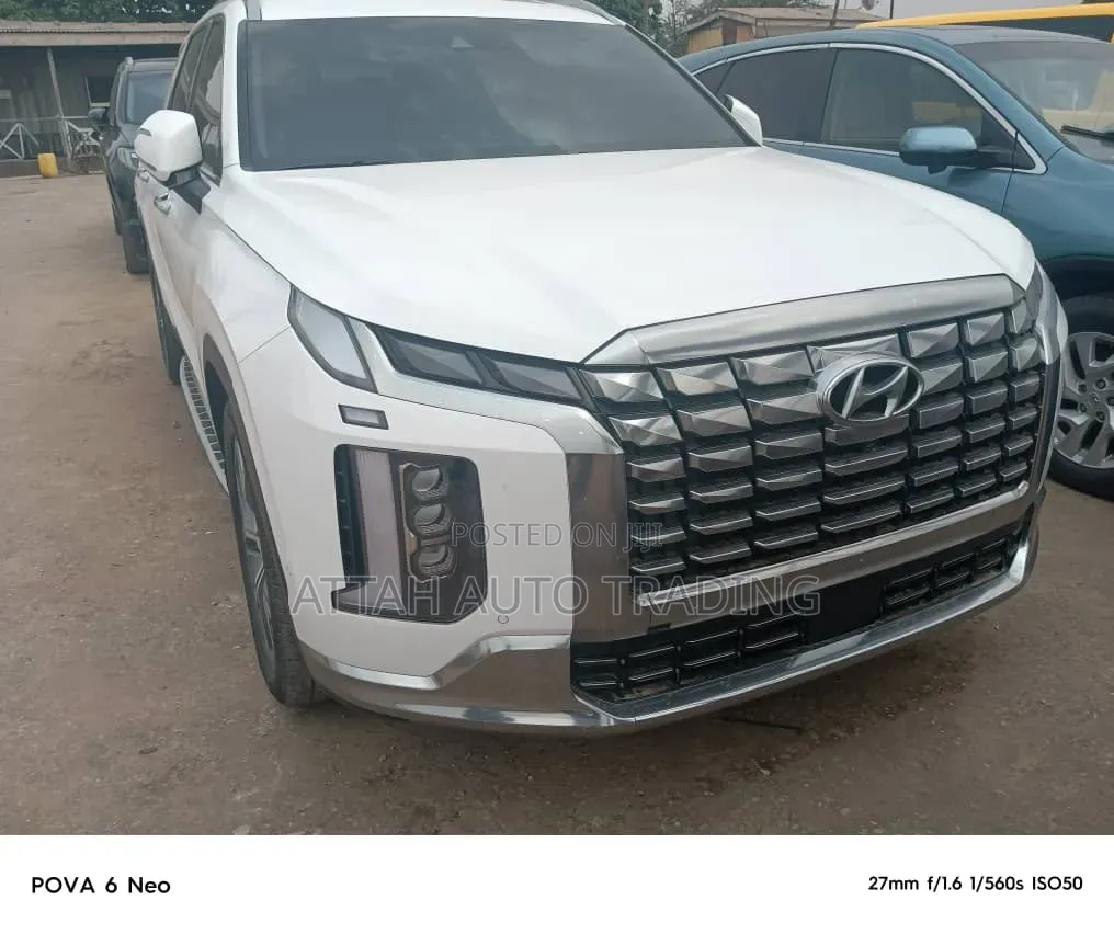 Hyundai Palisade 2019 White