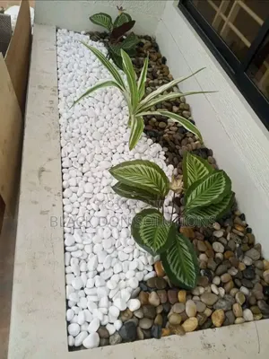Landscaping Designer Setters.