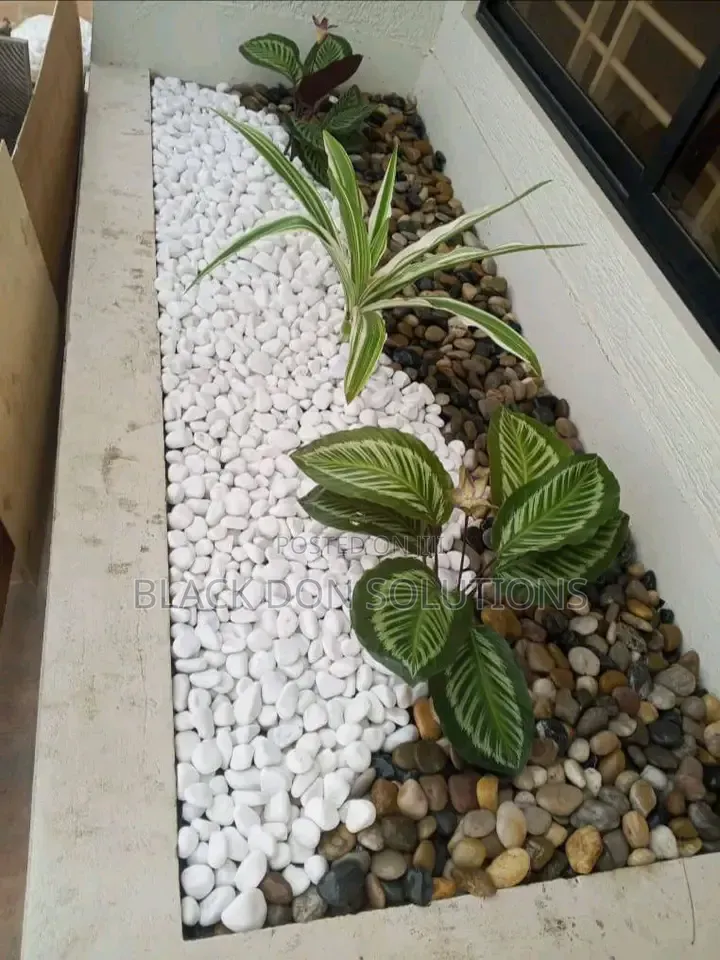 Landscaping Designer Setters.