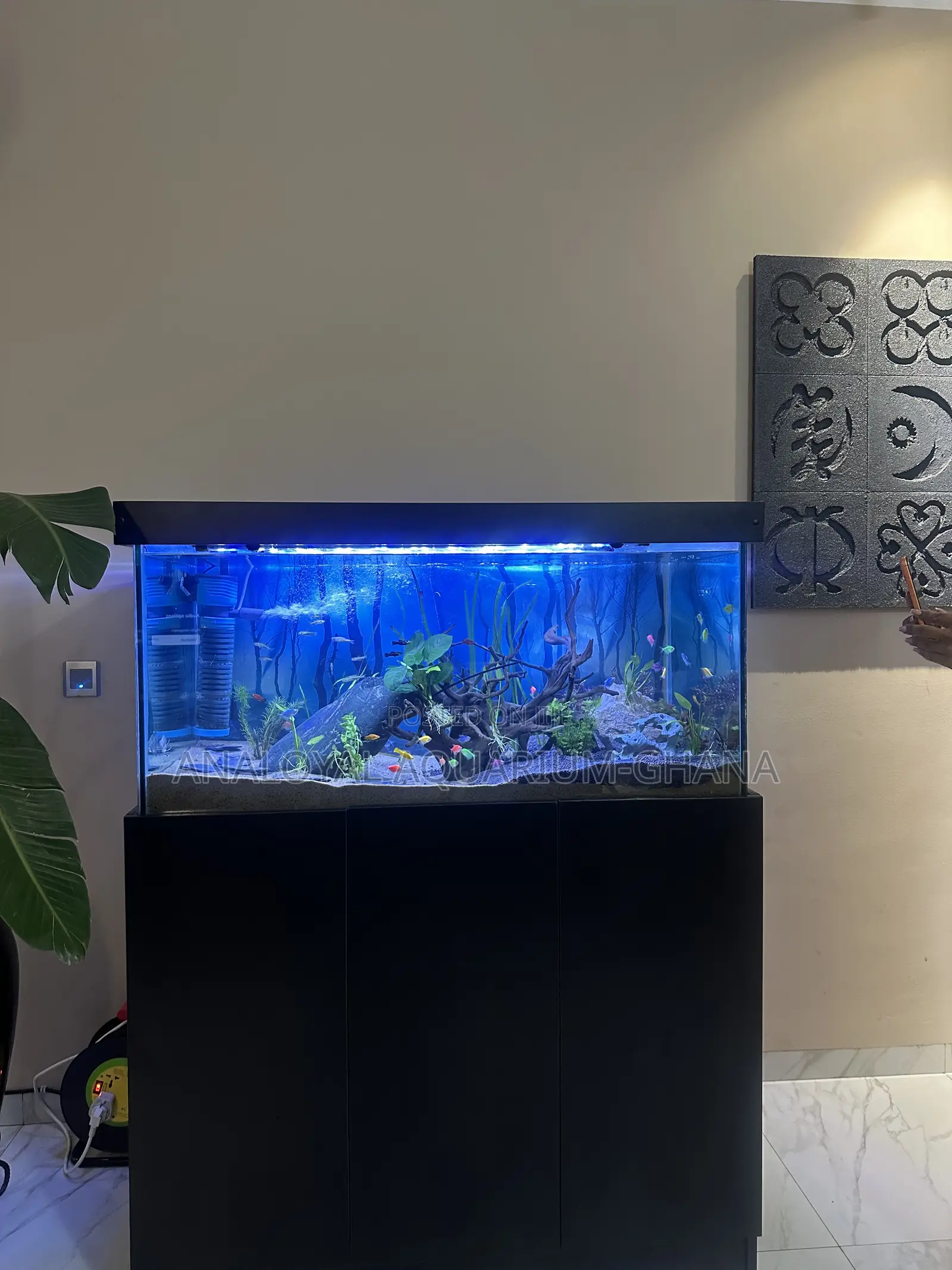 Kenel Aquarium