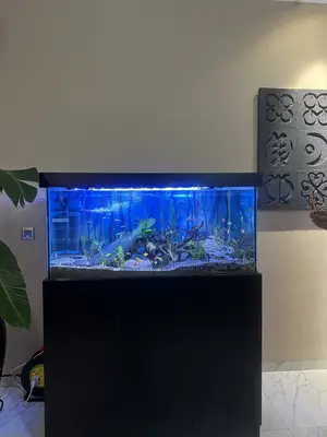 Kenel Aquarium