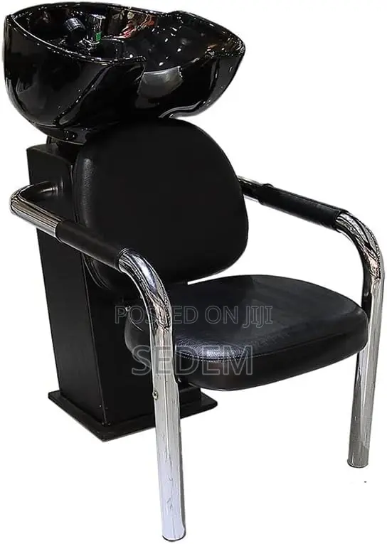 Salon Hair Washer