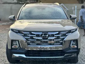 Hyundai Santa Cruz 2024 Brown