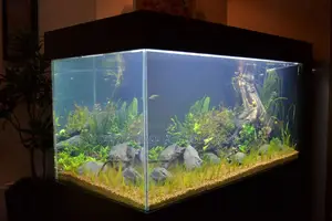 Premium Aquarium