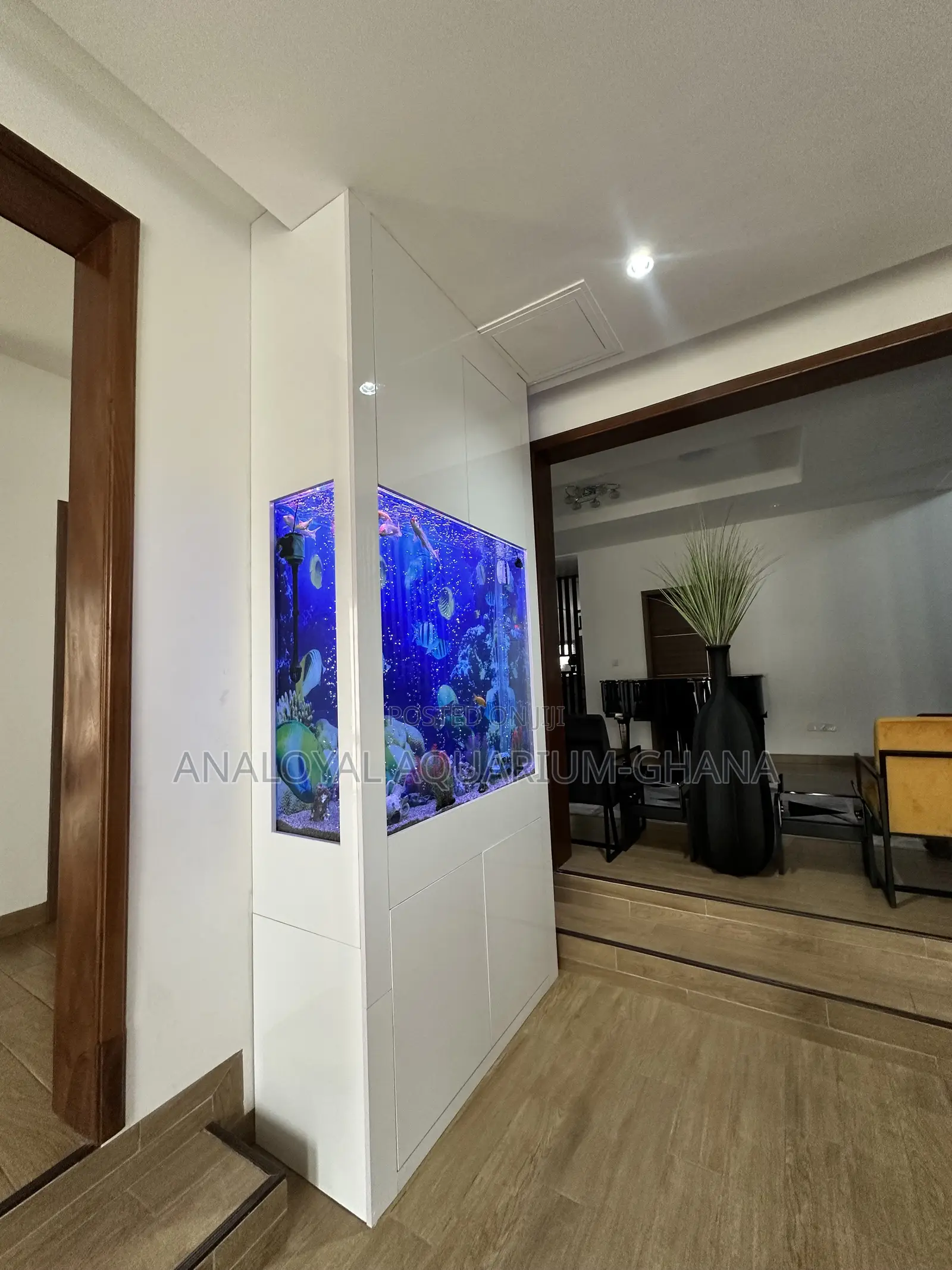 Three Sided View Aquarium