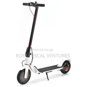 Foldable Electric Scooter