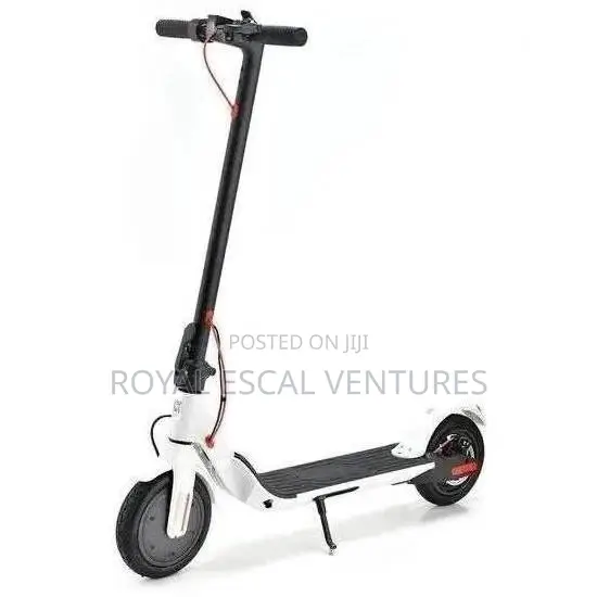 Foldable Electric Scooter