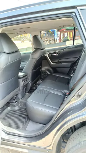 Toyota RAV4 XLE Premium AWD 2020 Gray
