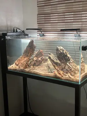 Iwagumi Style Aquarium