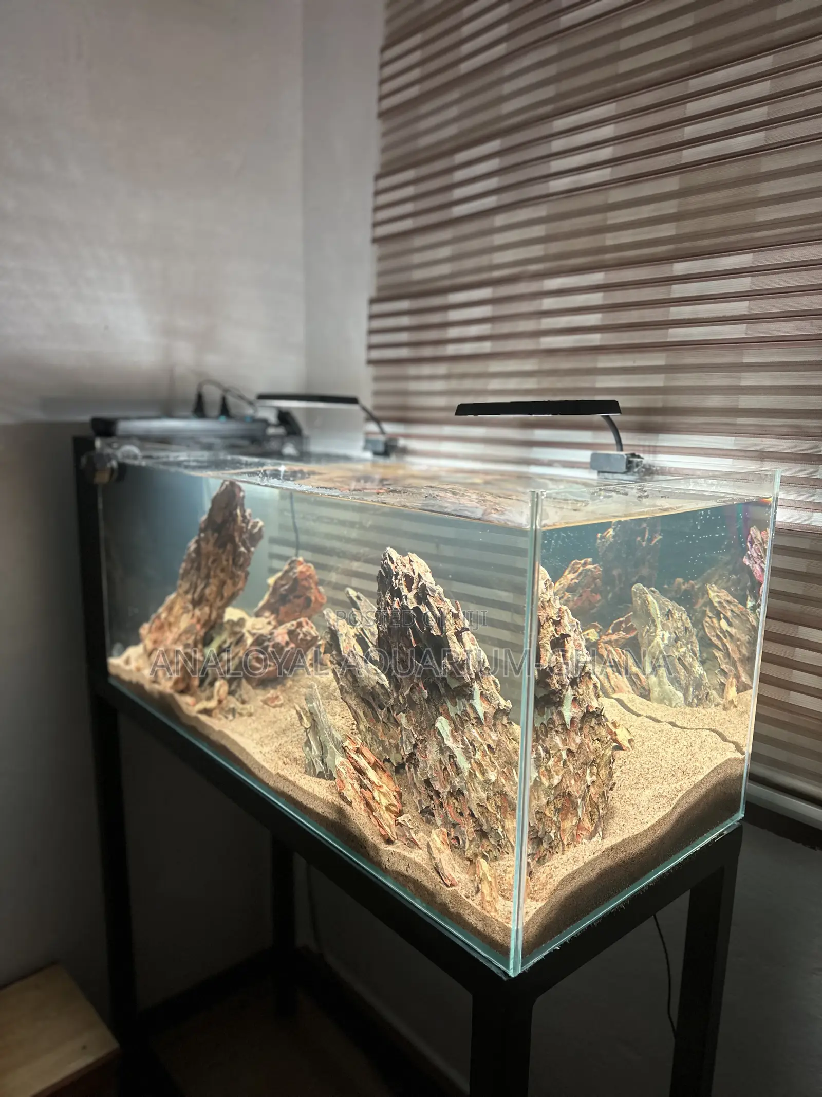 Iwagumi Style Aquarium