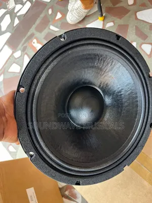 JAC 12RP76DB Double Magant 12 Inches 2200watt