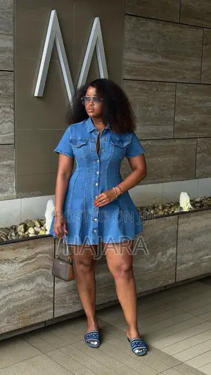 Chic Denim Dress