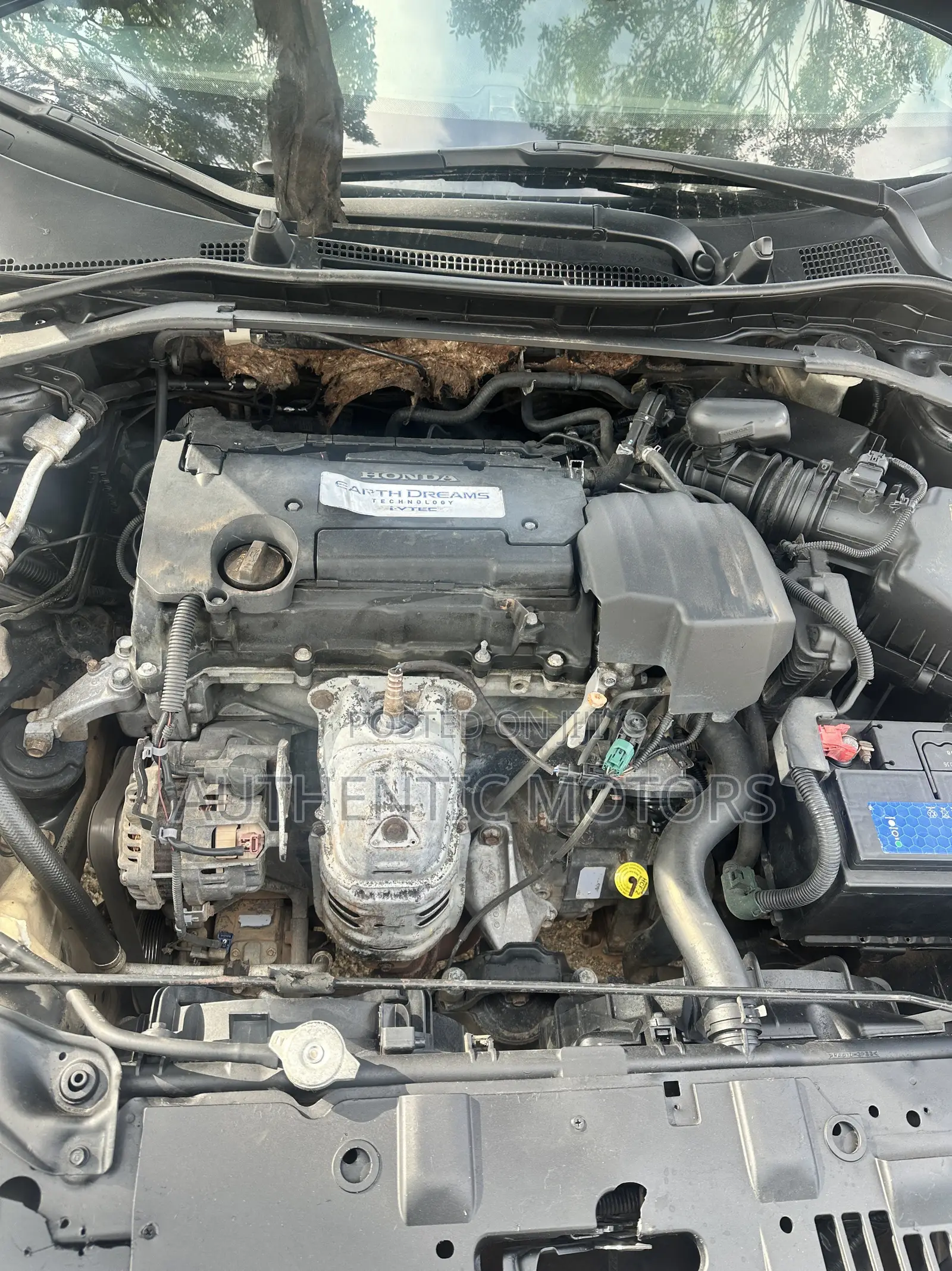 Honda Accord 2014 Blue
