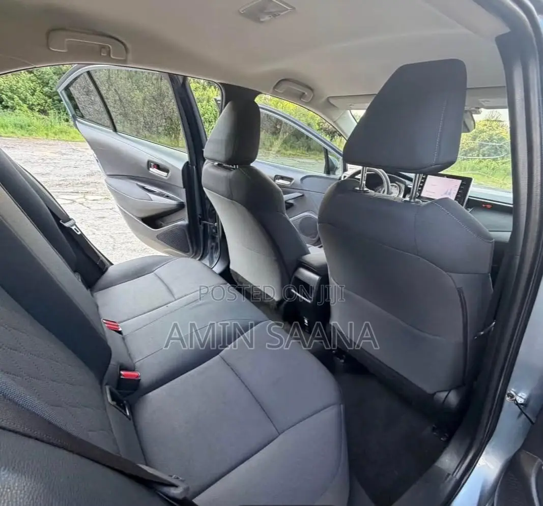 Toyota Corolla LE 2020 Blue