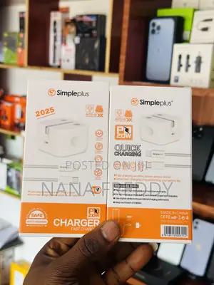Apple Lightening-USB C Charger