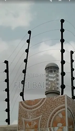 Electric Security Fence
