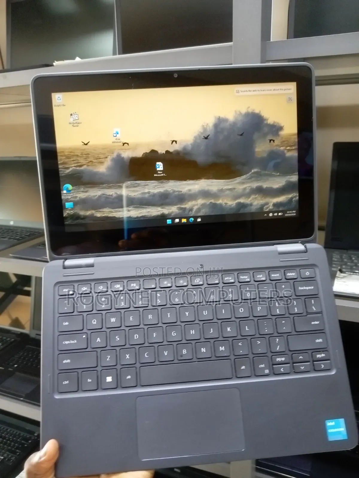 Laptop Dell Latitude 3120 4GB Intel Celeron SSD 128GB