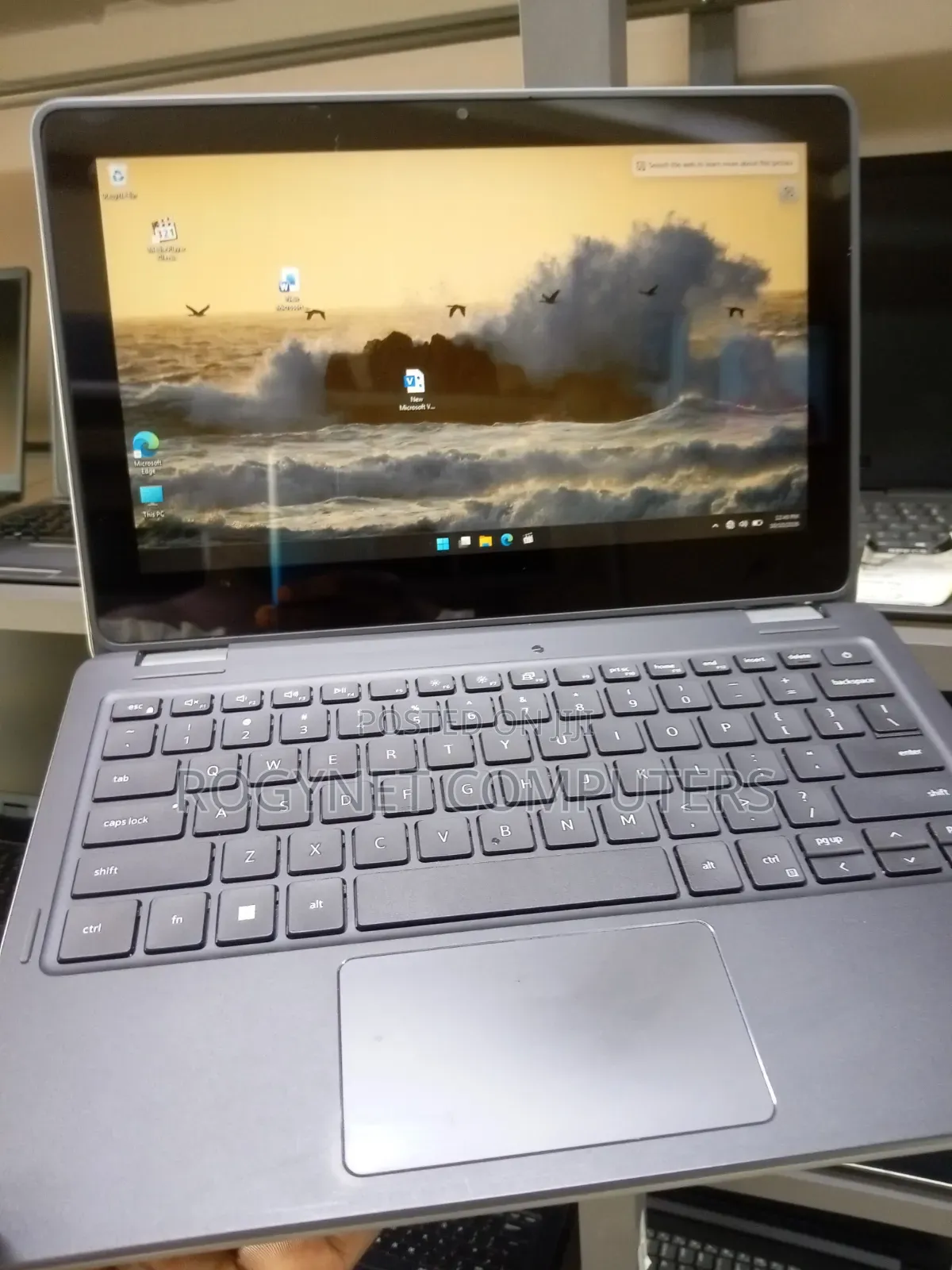 Laptop Dell Latitude 3120 4GB Intel Celeron SSD 128GB