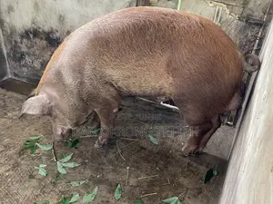 Quality Durocs