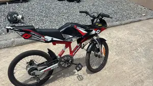 Kids Bicycle 20r