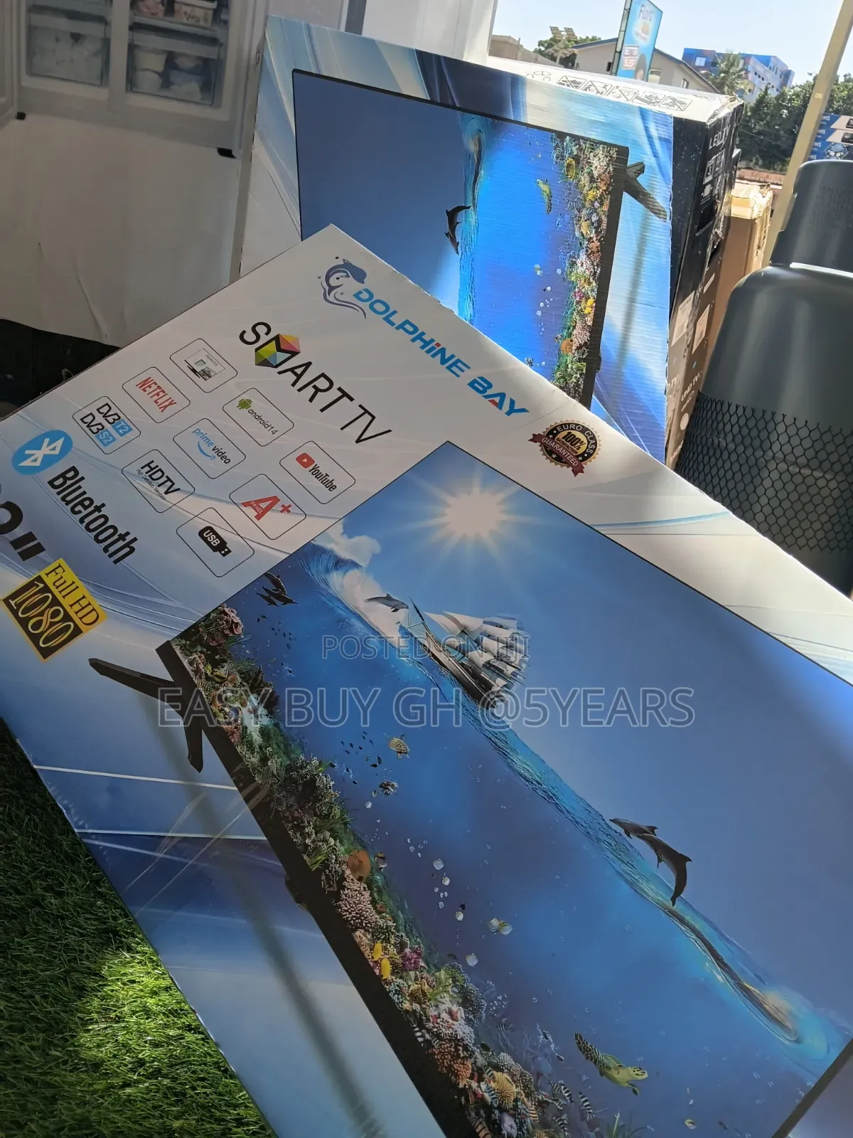 Quality Picture Dolphine Bay Smart 32 Television