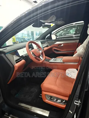 New BYD Tang DM-i 2025 Gray