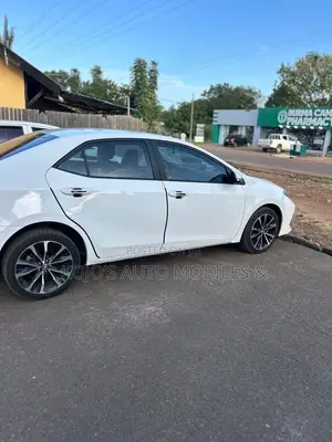 Car for Rent
