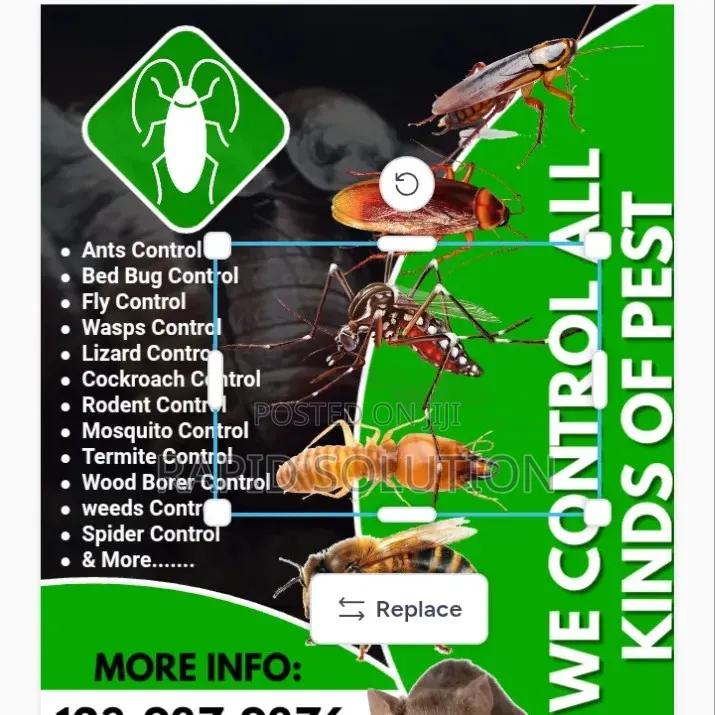 Pest Removal