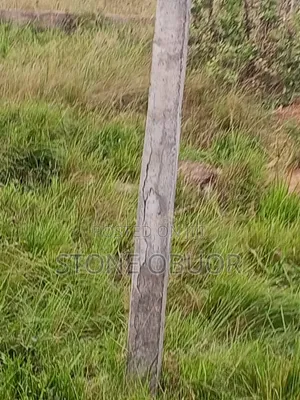 Land for Sale at Oyibi