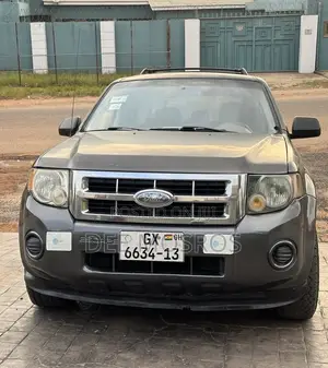 Ford Escape XLT 2010 Gray