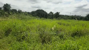 Plot of Land at Asouyeboah Ssnit Flat for Sale