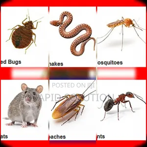 Snakes, Mosquitoes, Muse, Cockroaches, Bedbugs, Ants Specialist