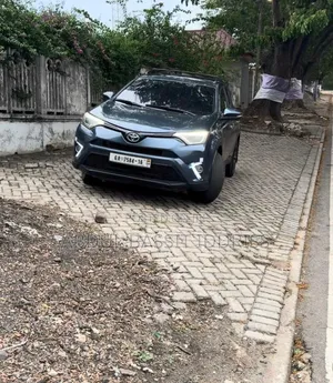 Toyota RAV4 2013 Blue