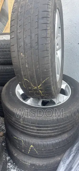 Suzuki Rain Complete Tire 225/65r17