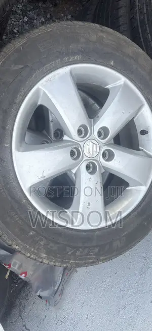 Suzuki Rain Complete Tire 225/65r17