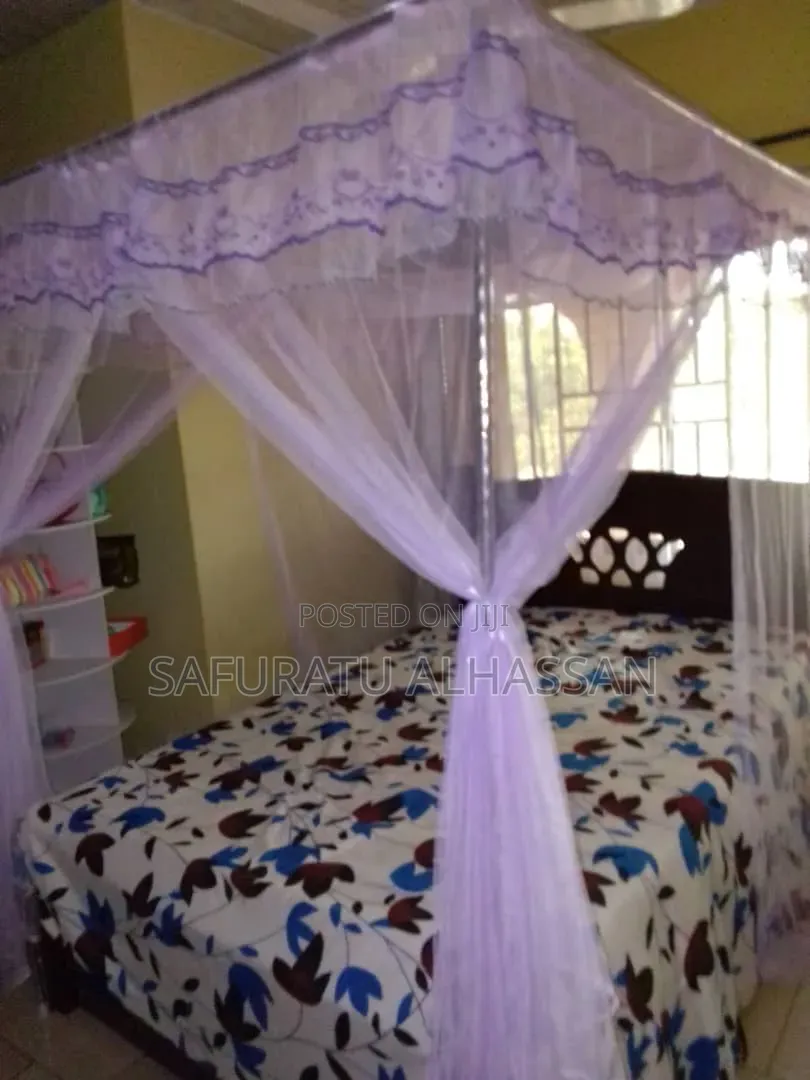 Luxurious Canopy Mosquito Net