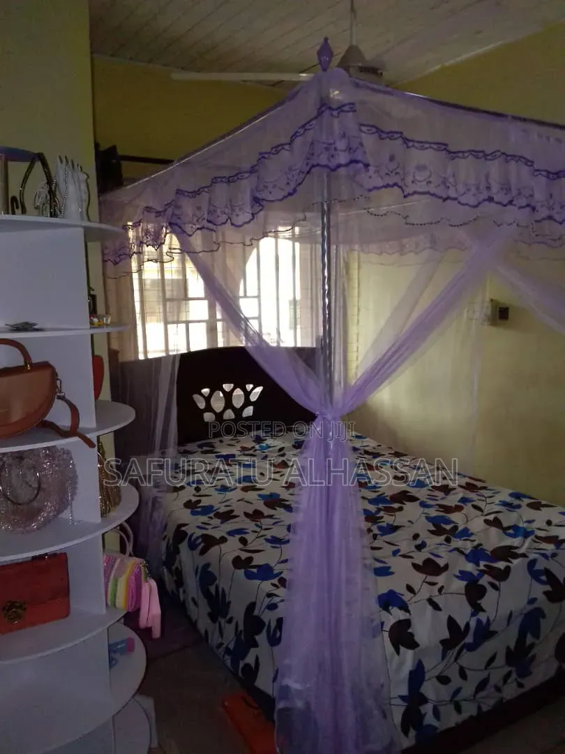 Luxurious Canopy Mosquito Net