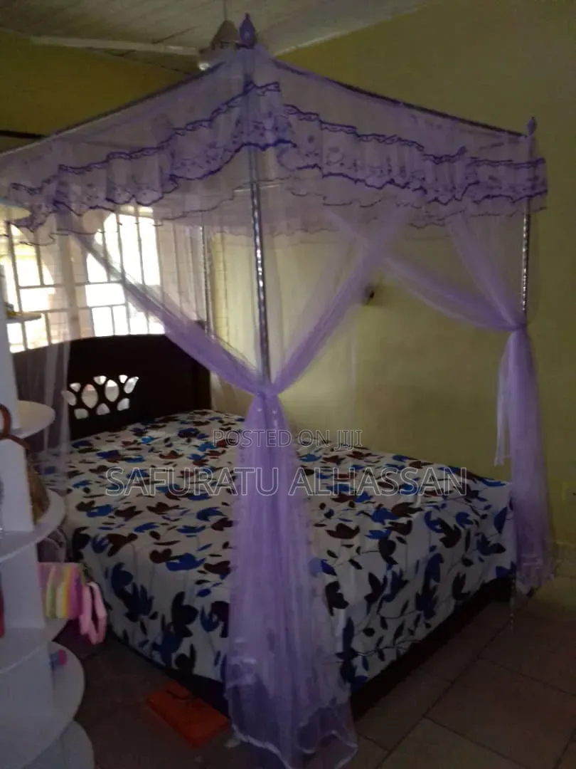 Luxurious Canopy Mosquito Net