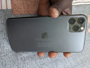Apple iPhone 11 Pro Max 256 GB Gray