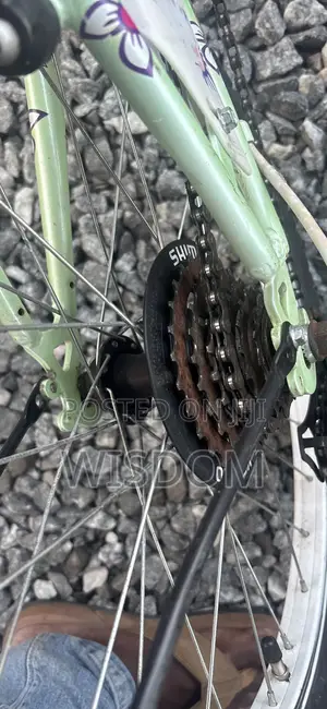 Bicycle for Kids Rim 20x1.75 Swiss Home Use Bike for Kids