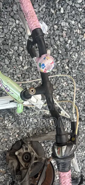 Bicycle for Kids Rim 20x1.75 Swiss Home Use Bike for Kids